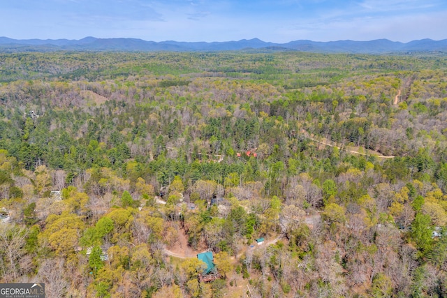 499 Old Deer Path Way, Cleveland, GA 30528 - drone / aerial view with a mountain view and a forest view
