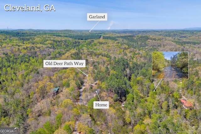 499 Old Deer Path Way, Cleveland, GA 30528 - drone / aerial view with a wooded view