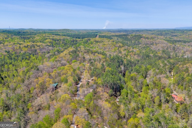 499 Old Deer Path Way, Cleveland, GA 30528 - birds eye view of property with a wooded view