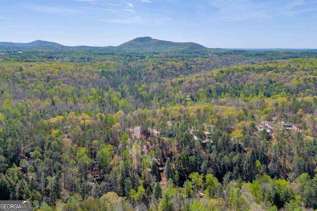 499 Old Deer Path Way, Cleveland, GA 30528 - birds eye view of property featuring a wooded view and a mountain view