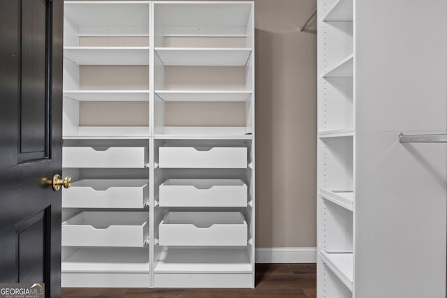spacious closet featuring dark wood finished floors