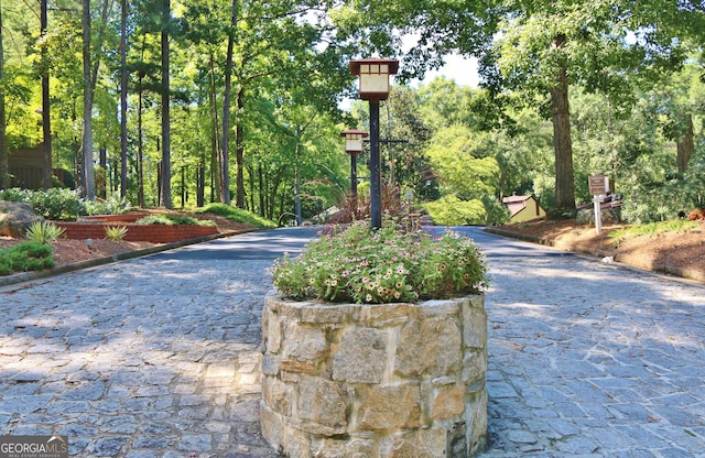 view of home's community