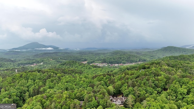 4 Zeppelin Strasse, Helen, GA 30545