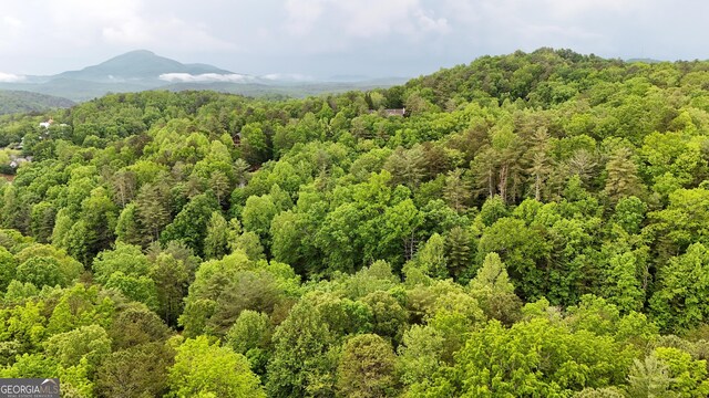 4 Zeppelin Strasse, Helen, GA 30545