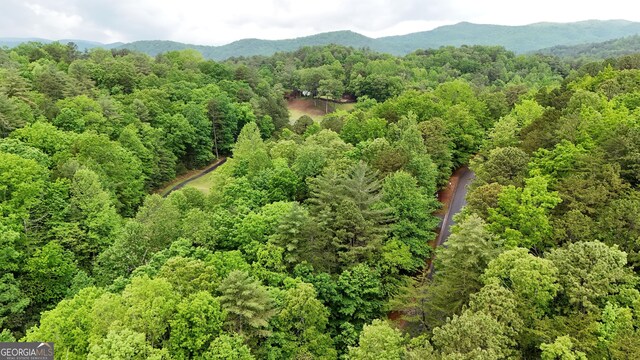 4 Zeppelin Strasse, Helen, GA 30545
