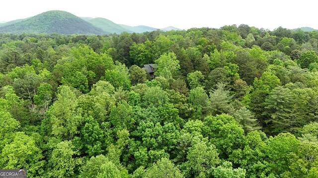 4 Zeppelin Strasse, Helen, GA 30545