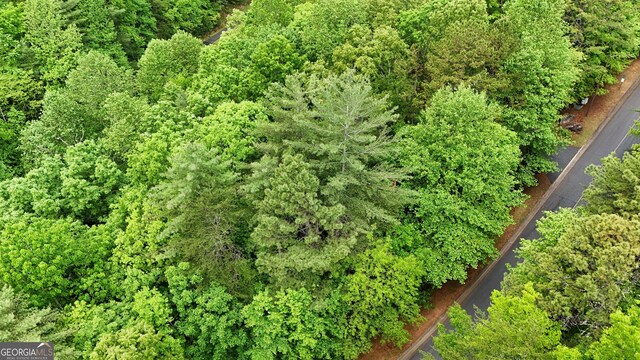 4 Zeppelin Strasse, Helen, GA 30545