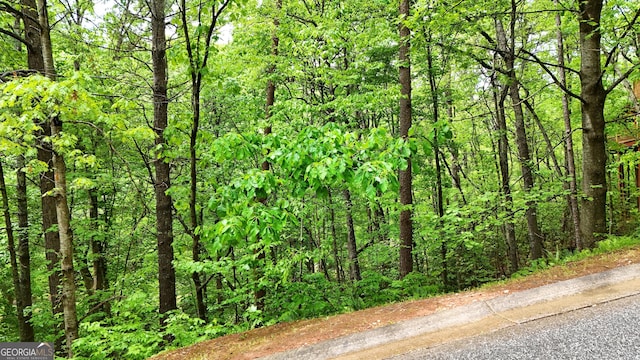 4 Zeppelin Strasse, Helen, GA 30545