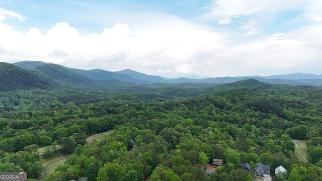 4 Zeppelin Strasse, Helen, GA 30545