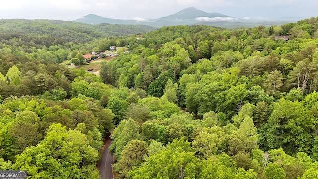 4 Zeppelin Strasse, Helen, GA 30545