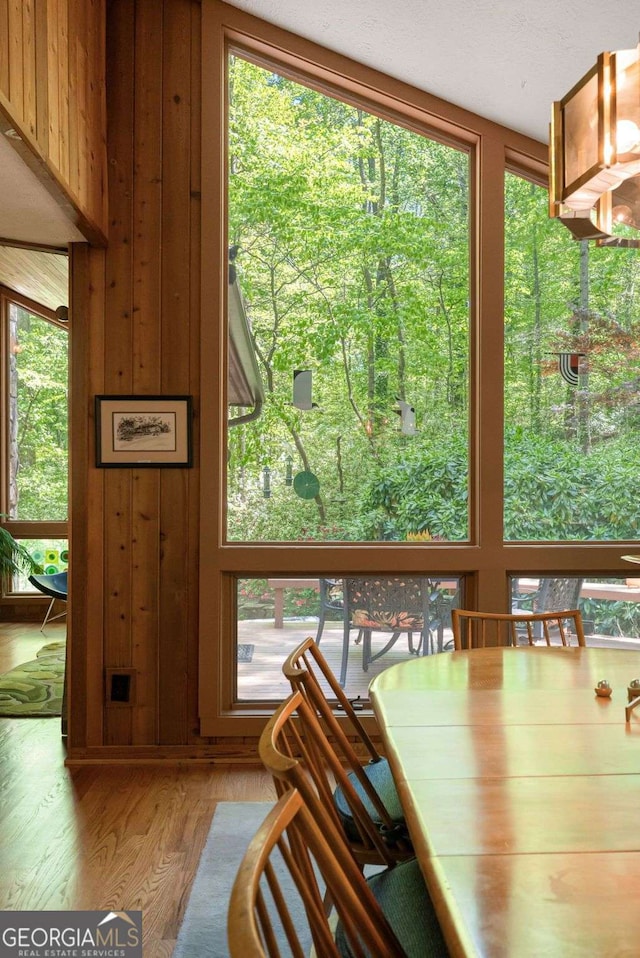 dining room featuring wood finished floors and a wealth of natural light