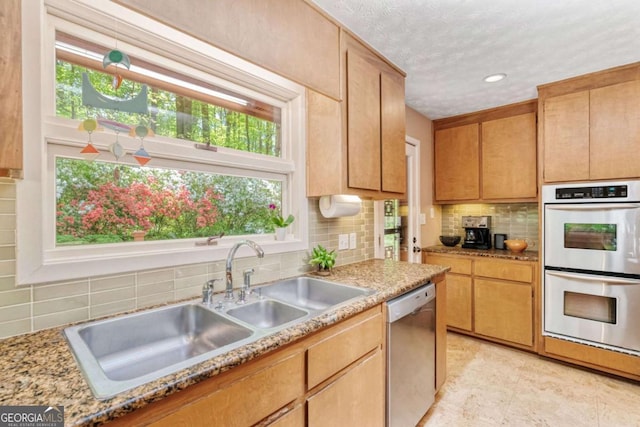 kitchen with backsplash, a healthy amount of sunlight, stainless steel appliances, and a sink
