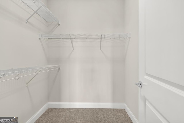 130 Magnolia Pl, Homer, GA 30547 - walk in closet with carpet