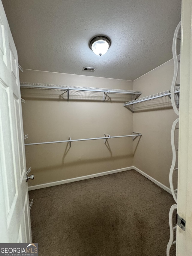 spacious closet with carpet floors and visible vents