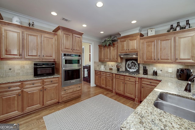 330 Noah Pl, Mcdonough, GA 30252 - kitchen featuring visible vents, decorative backsplash, ornamental molding, and a sink