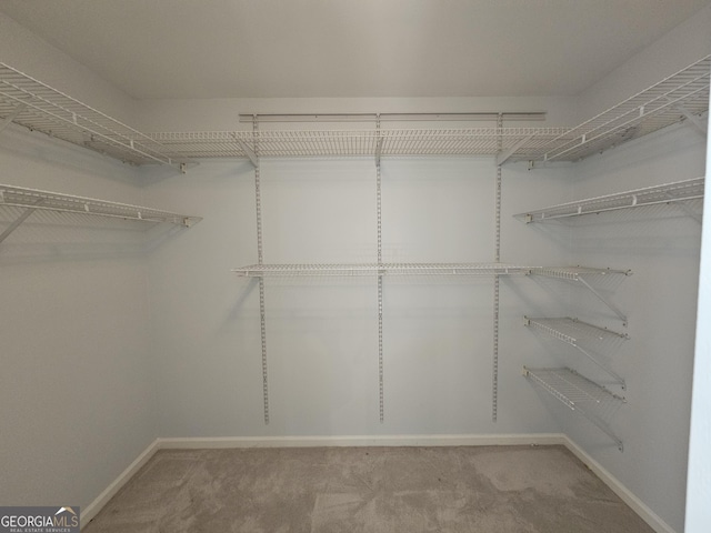 walk in closet with carpet flooring