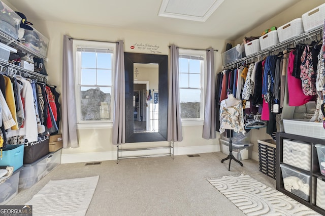 walk in closet featuring attic access, visible vents, and carpet