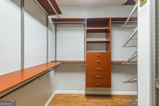 walk in closet featuring wood finished floors