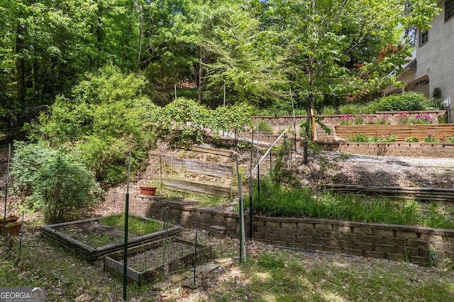 surrounding community featuring a vegetable garden