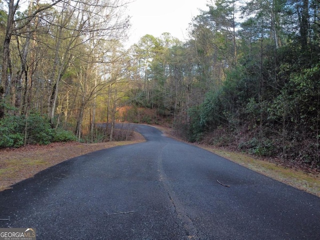 4 Villa Weg, Helen, GA 30545