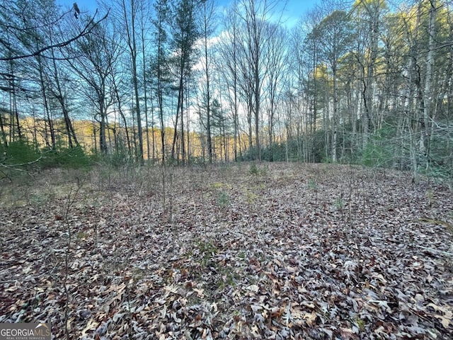 4 Villa Weg, Helen, GA 30545
