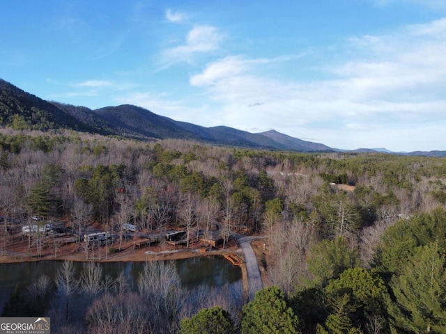 4 Villa Weg, Helen, GA 30545