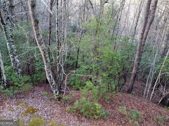 4 Villa Weg, Helen, GA 30545