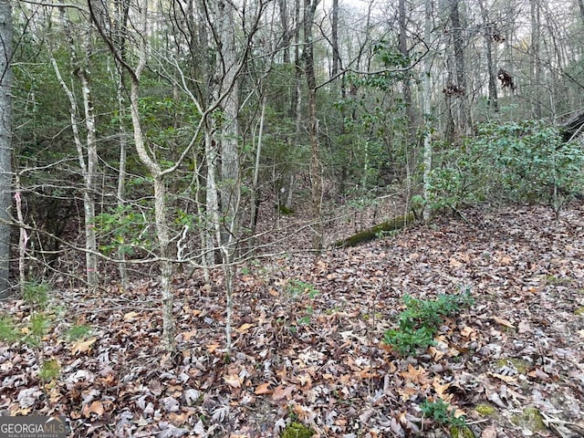 4 Villa Weg, Helen, GA 30545