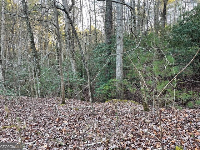4 Villa Weg, Helen, GA 30545