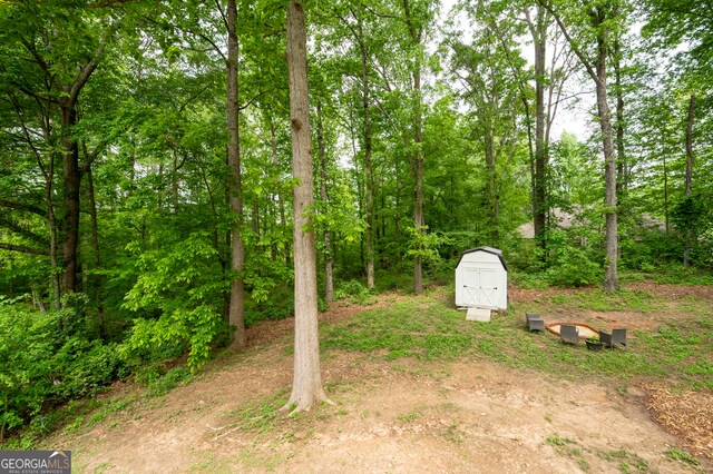 view of yard featuring a storage shed and an outdoor structure