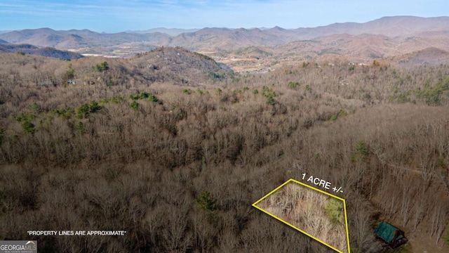 41 Peek And Peak Dr, Sky Valley, GA 30537