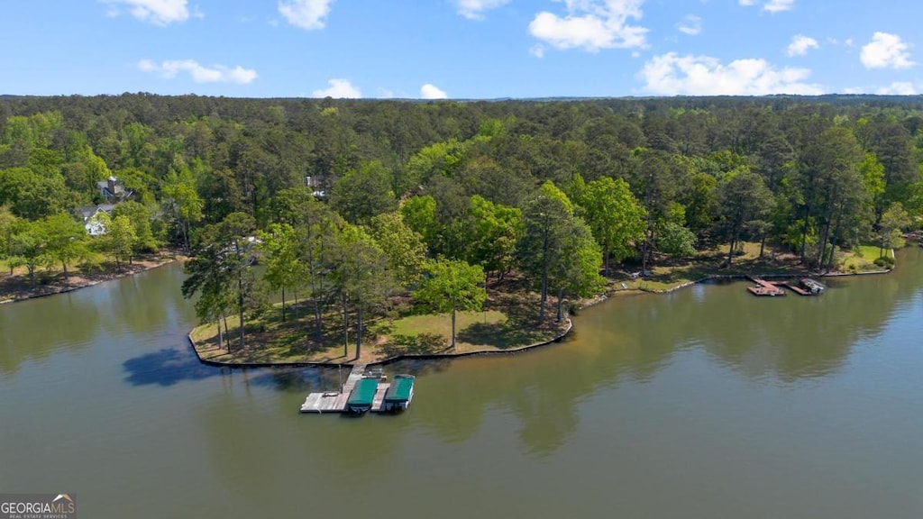 1011 Lullwater Ct, White Plains, GA 30678 - aerial view with a water view and a wooded view