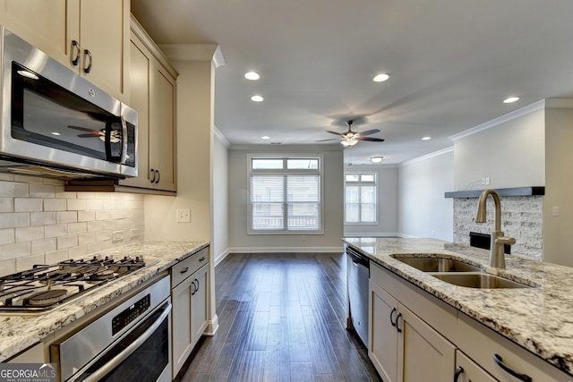 kitchen with dark wood-style flooring, a ceiling fan, a sink, appliances with stainless steel finishes, and ornamental molding