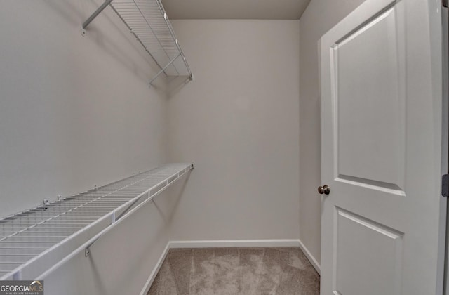 walk in closet featuring carpet