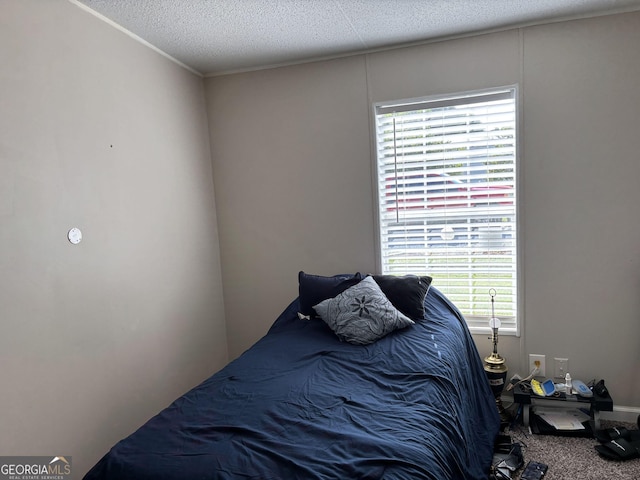 63 Breezewood Dr, Hampton, GA 30228 - view of bedroom