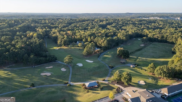 10005 Lakeview Pkwy, Villa Rica, GA 30180 - aerial view of property's location with a forest and a golf course