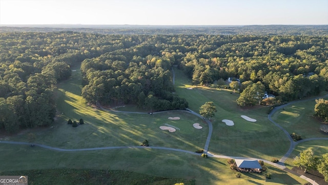 10005 Lakeview Pkwy, Villa Rica, GA 30180 - aerial view of property's location with a golf course and a heavily wooded area
