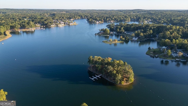 10005 Lakeview Pkwy, Villa Rica, GA 30180 - bird's eye view of a heavily wooded area and a large body of water