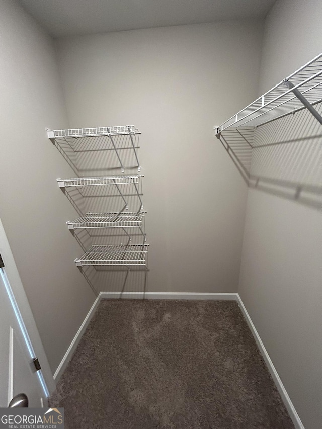 walk in closet with carpet floors