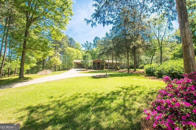 view of yard featuring concrete driveway