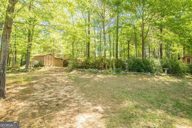 view of yard with a storage shed and an outbuilding