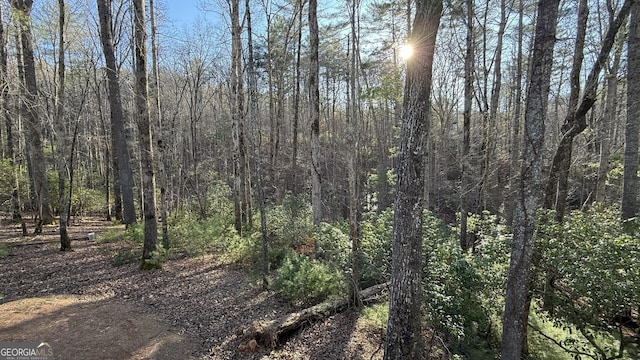 view of nature featuring a view of trees