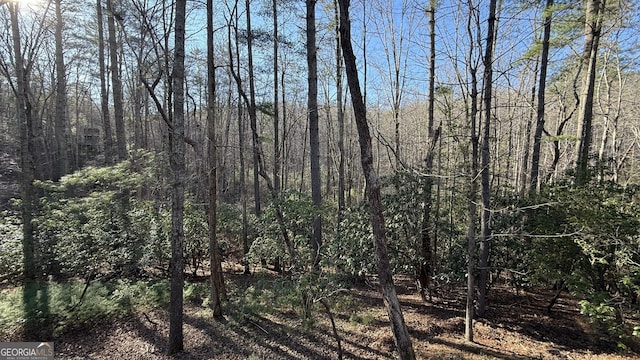 view of local wilderness with a view of trees