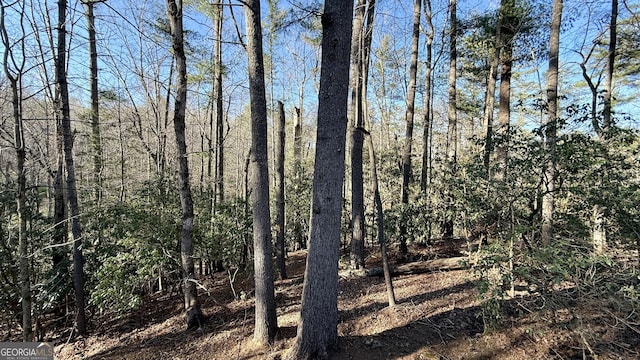 view of nature featuring a forest view