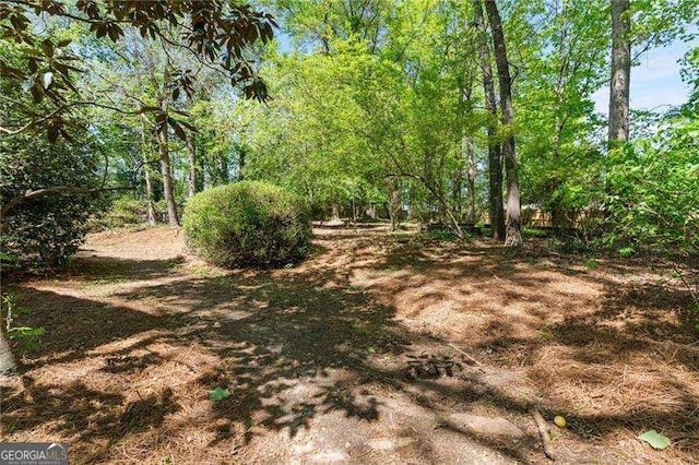 255 White Pines Dr, Alpharetta, GA 30004 - view of landscape