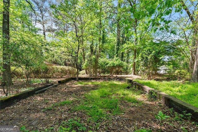 255 White Pines Dr, Alpharetta, GA 30004 - view of yard featuring a forest view