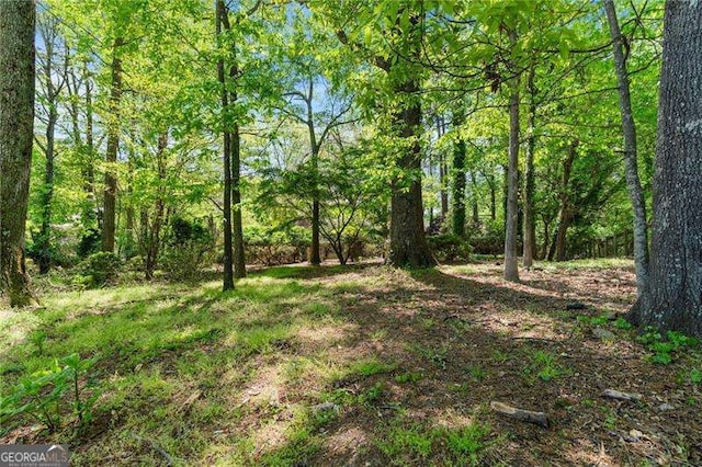 255 White Pines Dr, Alpharetta, GA 30004 - view of nature featuring a view of trees