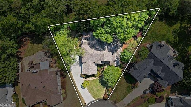 bird's eye view