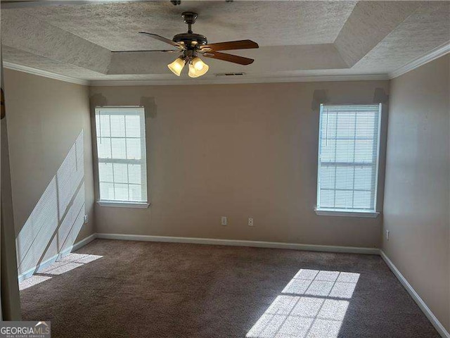 3334 Rockmill Dr, Ellenwood, GA 30294 - spare room featuring baseboards, carpet floors, a tray ceiling, and a textured ceiling