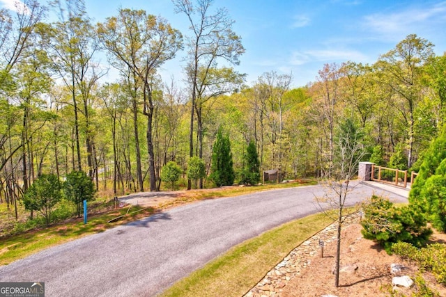 LOT1 Jakes Landing Way N, Ellijay, GA 30540